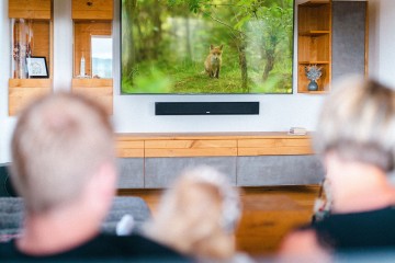 Loxone soundbar6